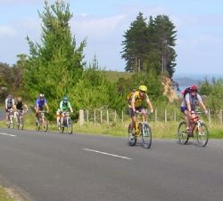 FAHRRADRUNDREISEN - Rennradtour von Bluff nach Picton